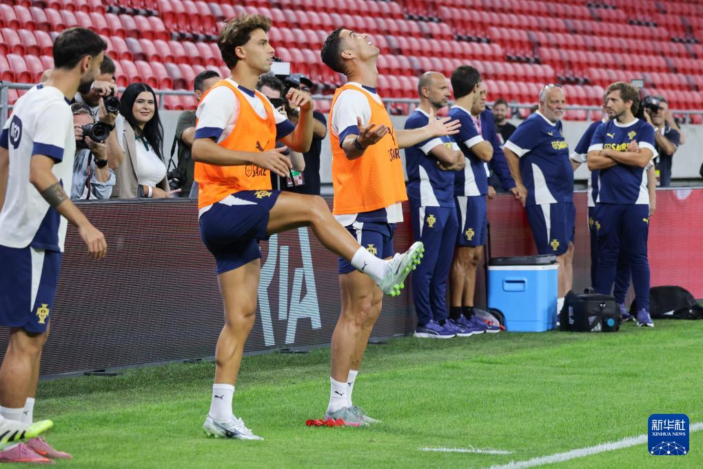 弗尔季, 与队友菲利, 界杯欧洲区